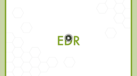 写真:動画サムネイル