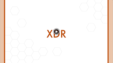 写真:動画サムネイル