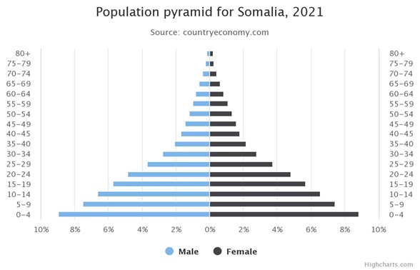 population-pyramid-for-s.jpeg