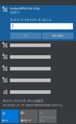 図4-4_Ent-Only-iPn.jpg