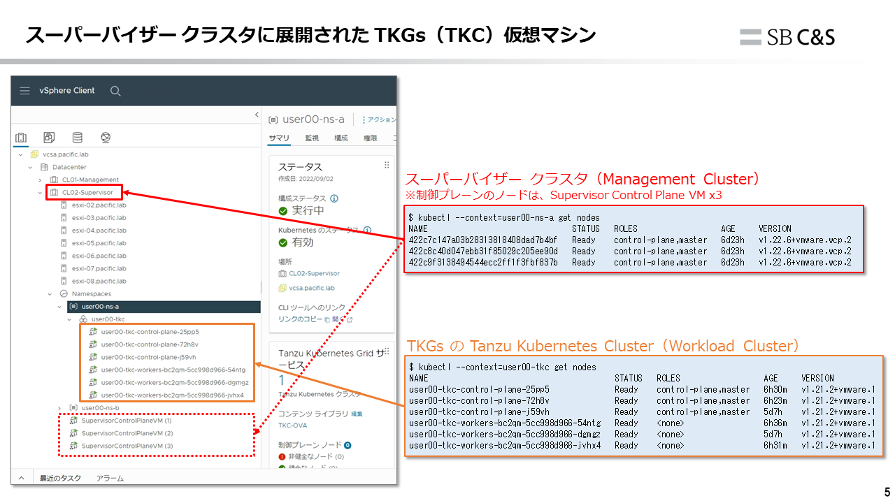 TKG_and_TKG20-05.png