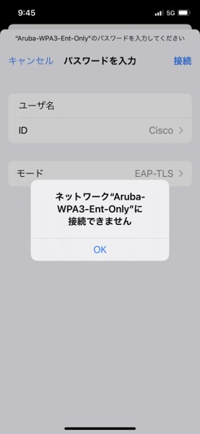 図4-5_Ent-Only-iPn.jpg