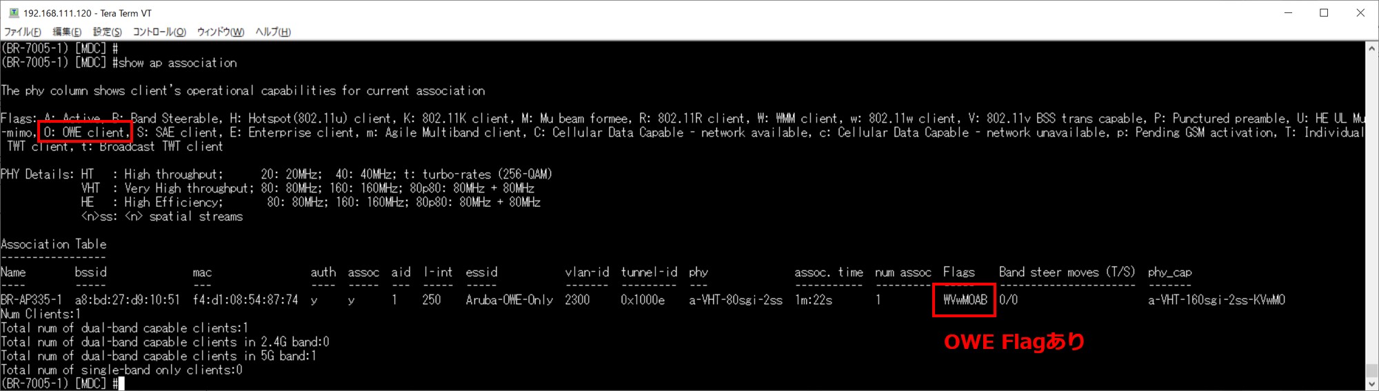 図7-5_OWE-Only-Win-CLI.jpg