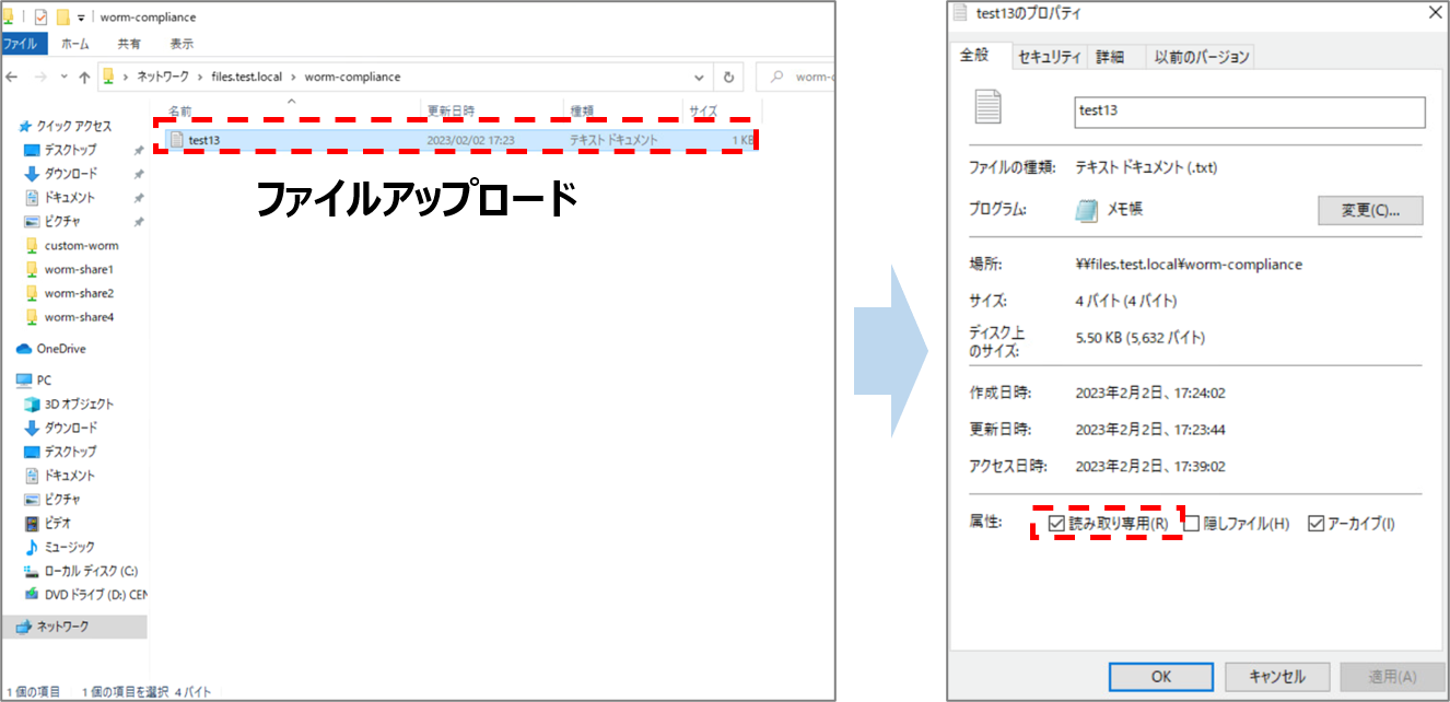 13.png