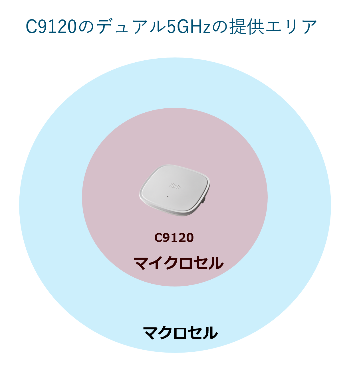 1244_1294_2.png