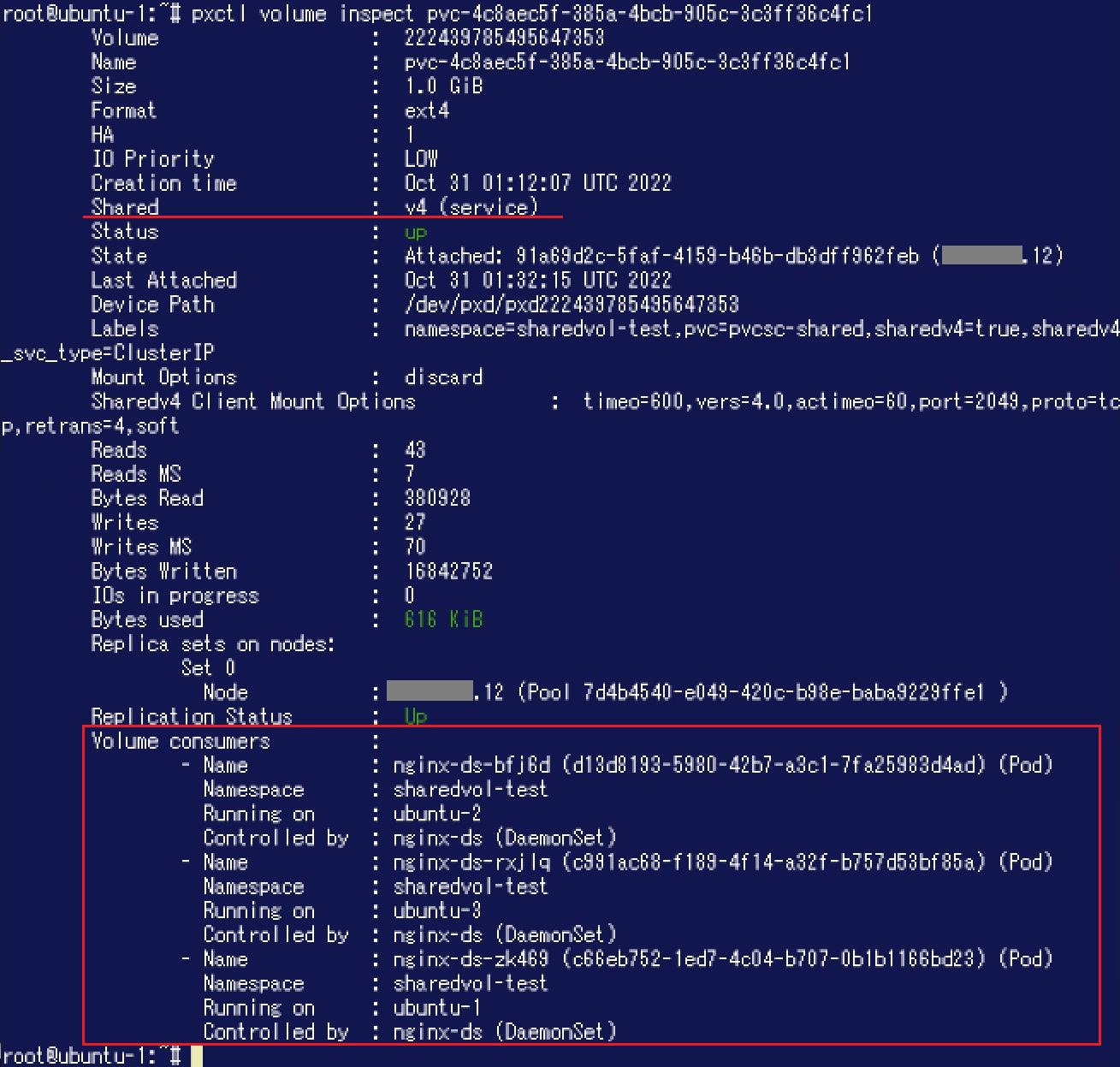 pxctl_vol_inspect_shared.png