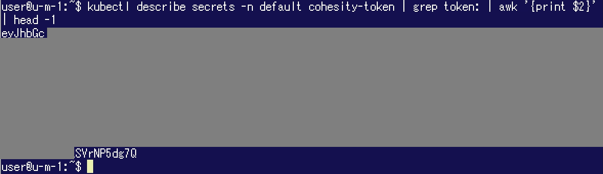 chsty-barertoken.png