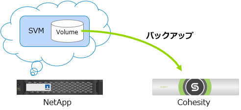 Cohe-netapp-1.png