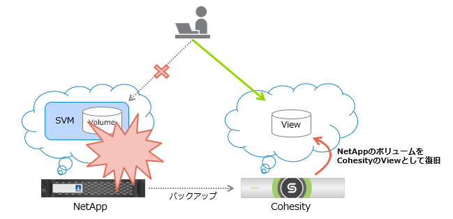 Cohe-netapp-4.png