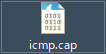 Hasegawa_cap_icon_cap.png