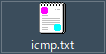 Hasegawa_cap_icon_txt.png