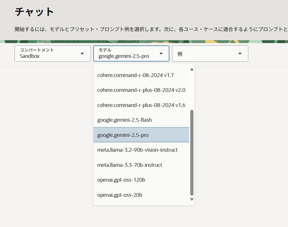 OCI paas gemini 05.png