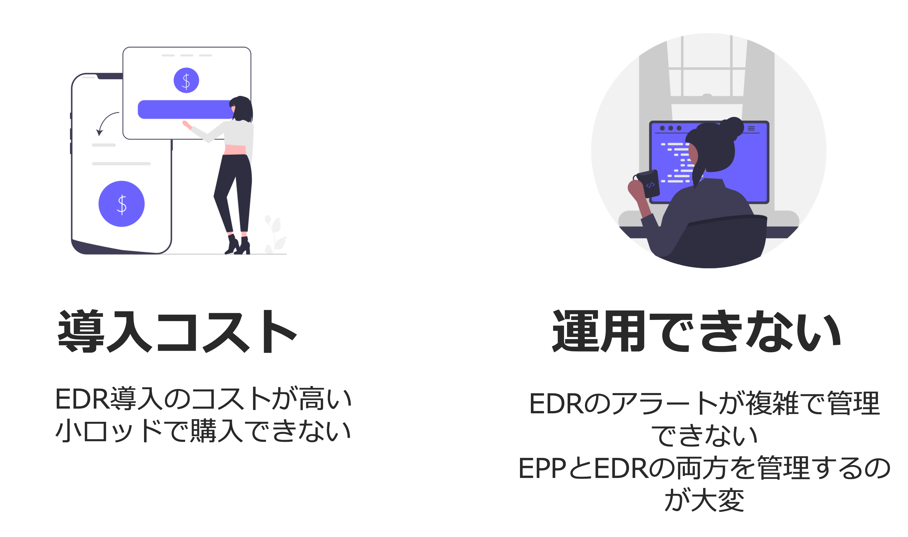 P7.png