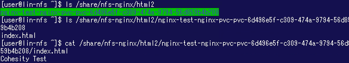 chsty-nginx-nfs.png