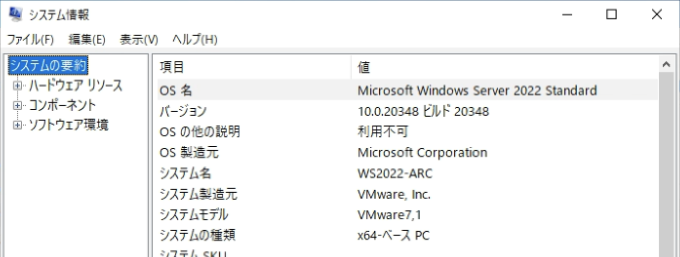 az_arc-sv-win-env-msinfo.png