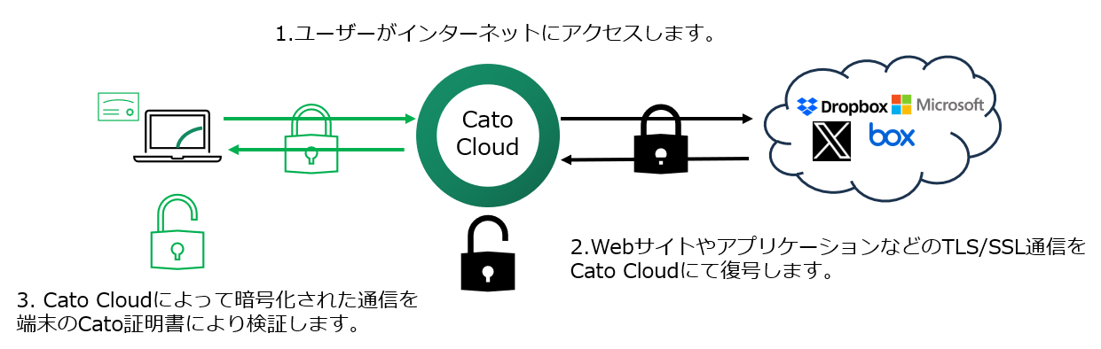 cato-TLS01.png
