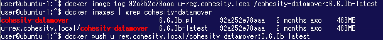 chsty-dockercmd2.png