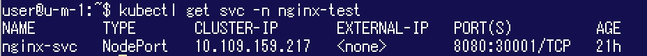 chsty-nginx-svc.png