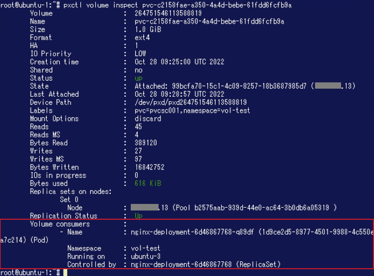 pxctl_vol_inspect_2.png
