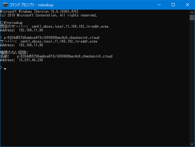 nslookup.png