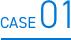 CASE01
