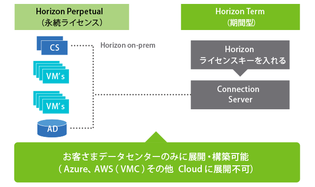 Horizon Term