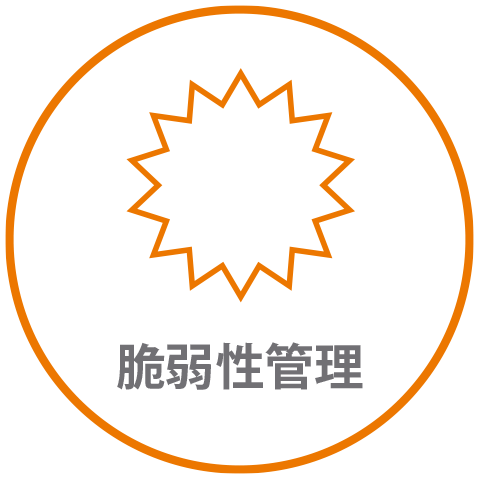 脆弱性管理